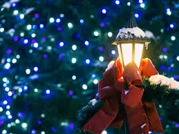 Navigating Holiday Brilliance: Selecting a Christmas Light Company in Paradise Valley AZ